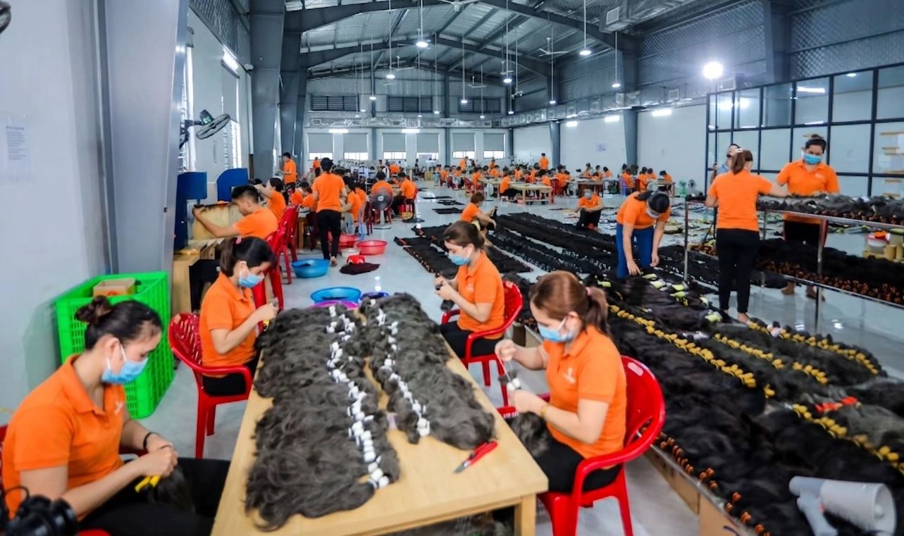 Aldohair Vietnamese hair supplier sorting raw human hair